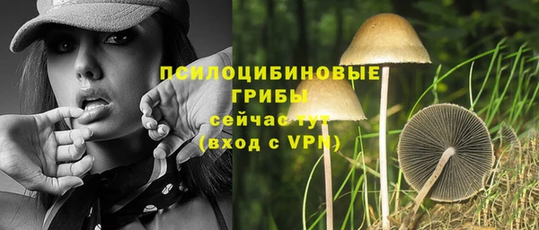 эйфоретик Абаза
