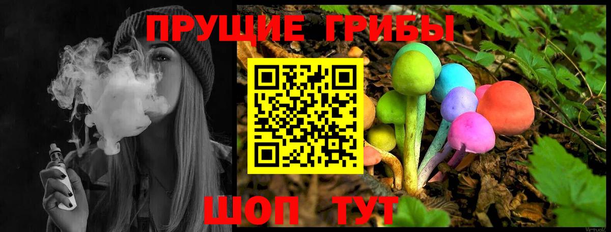 Псилоцибиновые грибы Psilocybine cubensis Азнакаево
